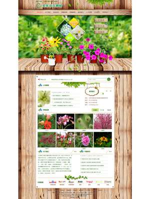 某某花卉種植 0185