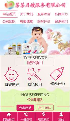 某某月嫂服務有限公司 2197 某某月嫂服務有限公司 2197