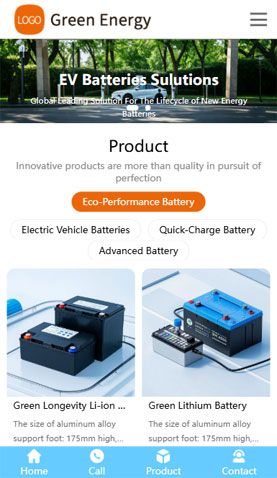 某某新能源汽車電池 2451